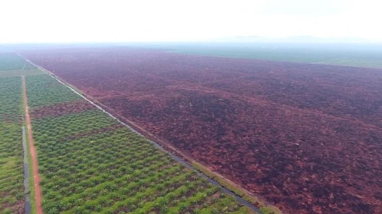 Api Tidak Membantu Suburkan Tanah