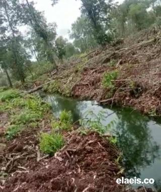 PT Arara Abadi Kembali Berulah, Diduga Serobot Lahan hingga Bikin Banjir Jalan Nasional di Siak