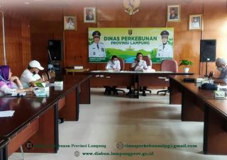 Harga Resmi TBS Sawit di Lampung Naik Tipis