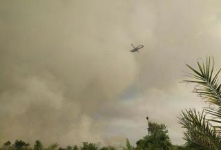Area Sekitar Kebun Sawit Terbakar, 2 Helikopter Dikerahkan 