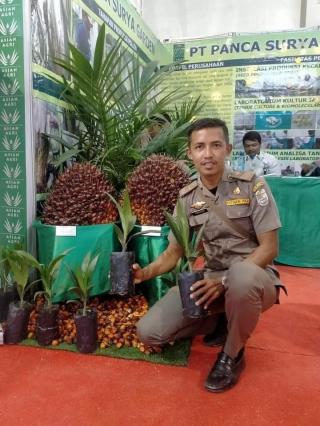 3 Varietas ini Paling Disukai Petani Sawit di Bengkulu