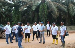 Kebun Beririsan dengan Hutan, PTPN VII Lakukan ini Pastikan Alas Hak