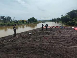 Begini Cara Mengolah Cangkang Sawit Jadi POC