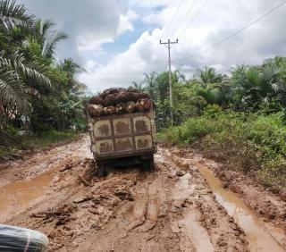 Dana Desa Boleh Dipakai untuk Bangun Jalan Kebun Sawit