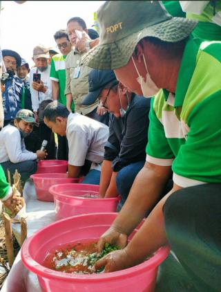 Bisa Gantikan Pupuk Kimia, Petani Diminta Beralih ke Biosaka