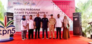 Gubernur Riau Sebut PSR PTPN V Tingkatkan Produktivitas Sawit Petani