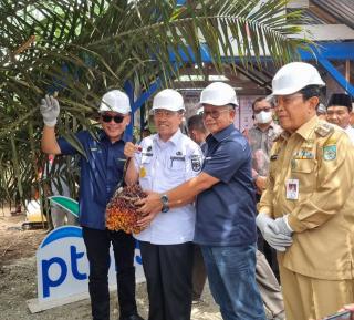 Pakai Standar Perusahaan, Produktivitas 697 Hektare Kebun PSR di Rohul Dijamin Melejit 