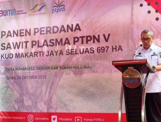 Syamsuar Dianugerahi Bapak Petani Plasma Riau, Direktur PTPN V Jadi...