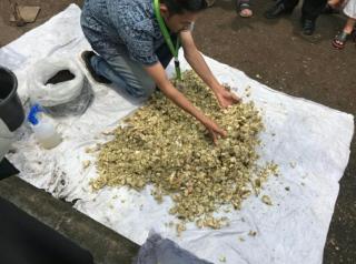 Kurangi Sampah, Petani Disarankan Olah Kulit Durian Jadi Pupuk Organik