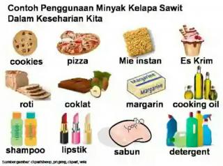 Hilirisasi Membuat Harga Produk Sawit Tinggi dan Tetap Dicari Pembeli