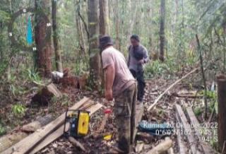 Penjarahan Kayu di Hutan Kerumutan Riau Merajalela