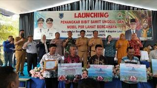 Ada Penangkar Resmi, Petani Lahat Diminta Tak Sembarang Beli Bibit Sawit