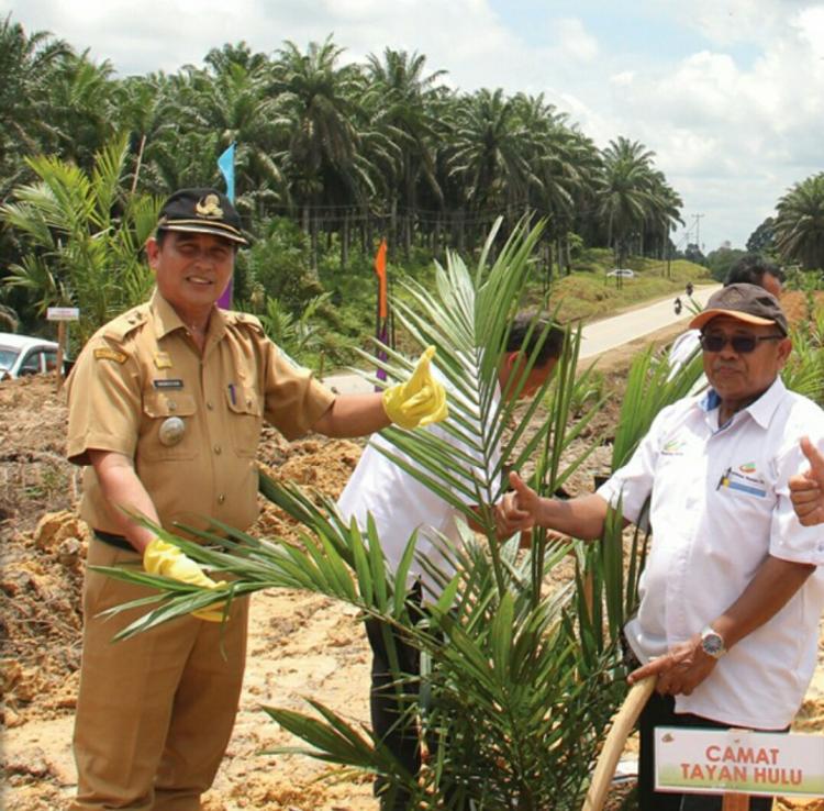 Investasinya Mahal, Tanam Ulang Tak Bisa Toleransi Kegagalan