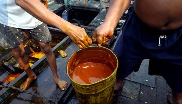 Pengiriman Biji Bunga Matahari Terganggu, CPO Diincar