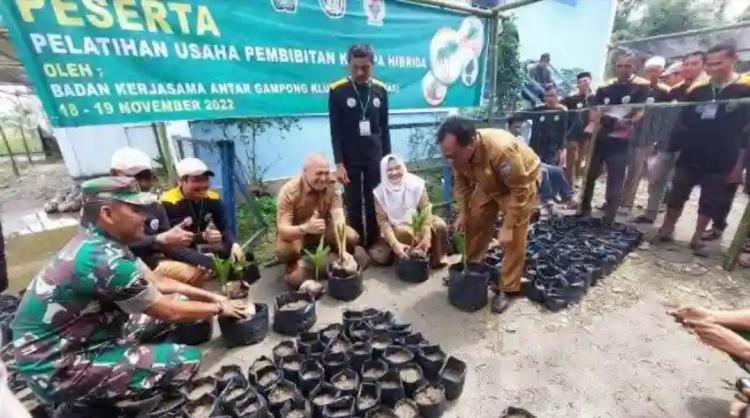 Warga Dilatih Cara Pembibitan Kelapa Sawit Dan Kelapa Hibrida