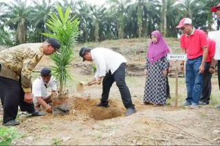 Petani Sawit Diminta Jujur Gunakan Dana Replanting