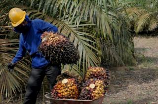 Kenaikan UMP Belum Memenuhi Standar Kebutuhan Hidup Layak