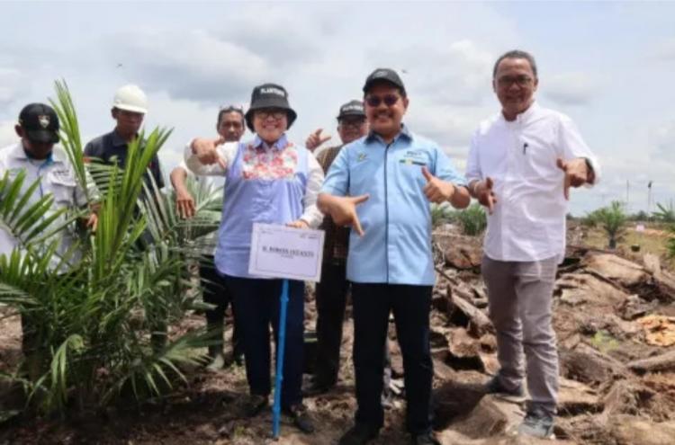 667 Hektare Kebun Betung Krawo Di-replanting Pakai Benih yang Toleran Ganoderma