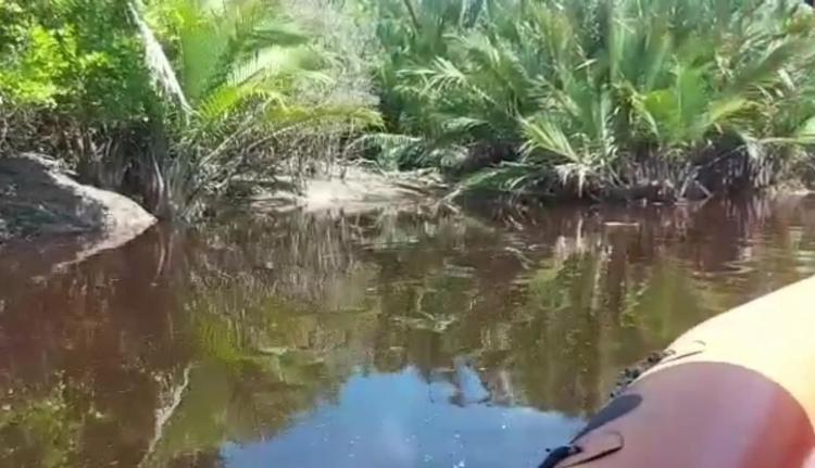 Petani Sawit Dumai Diduga Diseret ke Sarang Buaya, Tim SAR Tak Berani Mendekat 