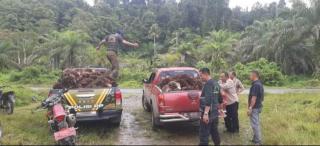 Dieksekusi Pengadilan, Kebun Sawit Dikembalikan ke Daerah