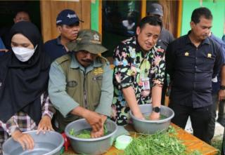 Pupuk Kimia Mahal? Rumput di Pekarangan Solusinya 