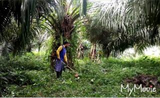 Kurangi Penggunaan Herbisida, Mesin Rumput Dibagikan ke Petani