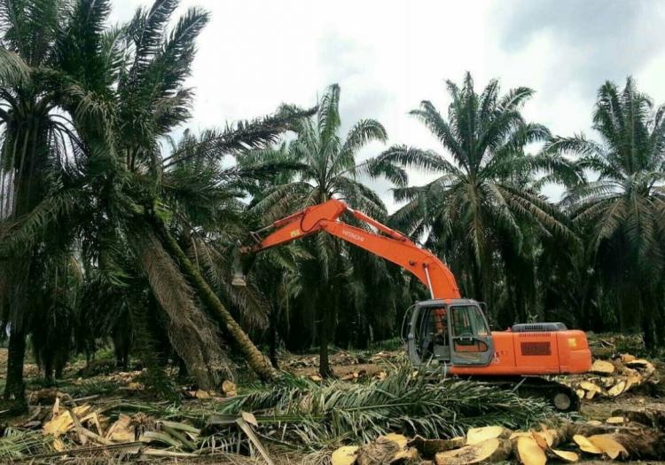 Petani Diminta Tidak Sia-siakan Program PSR