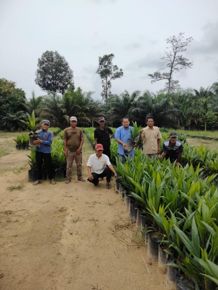 Dapat Bantuan Bibit, Petani Anggap Sebagai Sinyal Soal Status Lahan