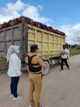 Organda Bengkulu Minta Truk ODOL Segera Disikat