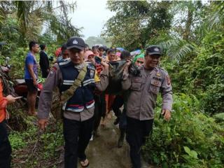 Diseret Banjir, Jasad Petani Ditemukan Tersangkut di Pohon Sawitnya