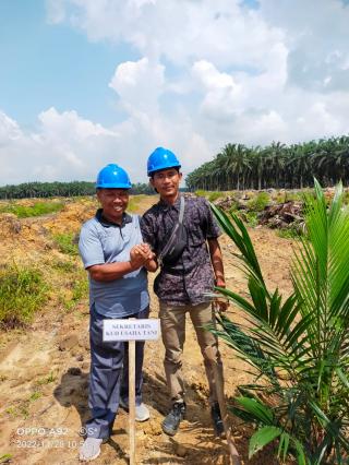 Petani Diingatkan Cermat Pilih Tanaman Sela di Lahan Replanting Sawit 