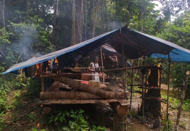 Masuk Kawasan Suaka Margasatwa, Petugas Musnahkan Tanaman Kelapa Sawit