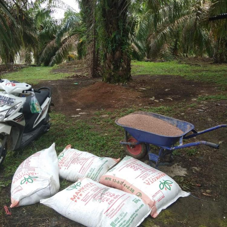 Petani Ngos-ngosan Tutupi Biaya Operasiomal Kebun