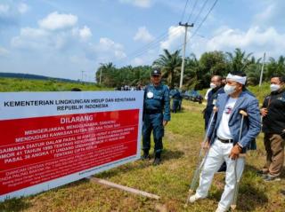 Puluhan Perusahaan Sawit Bertahun-tahun Beroperasi Tanpa Izin, Salah Siapa?