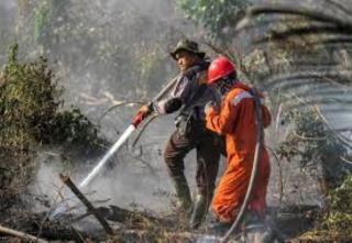 Semua UPT KPH dan Perusahaan di Riau Berkomitmen Cegah Karhutla