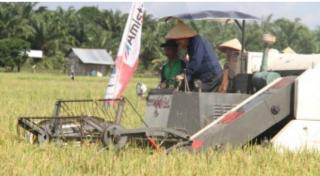 Konversi Lahan Petanian Menjadi Kebun Sawit di Daerah ini Mengkhawatirkan