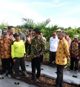 Koperasi Diharapkan Membuat Petani Sawit 