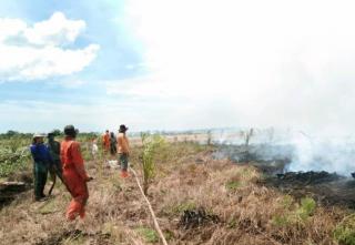 Karhutla di Riau, Kapolda Cemaskan Faktor Manusia yang Sengaja Membakar Lahan