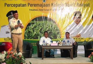 Ternyata, Harga TBS Petani Dipotong Rp285/Kg untuk Levy 