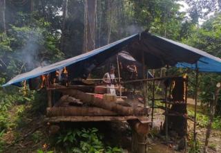 Masuk Kawasan Suaka Margasatwa, Petugas Musnahkan Tanaman Kelapa Sawit