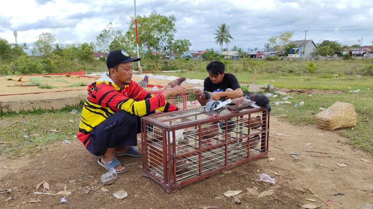 Salurkan Hobi, Petani Sawit di Bengkulu Justru Dapat Cuan