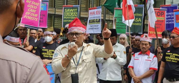 Petani Sawit Sampaikan Petisi ke Presiden, Ini Isinya 