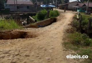 Petani Aceh Timur Menjerit: Produksi Anjlok, Harga Jeblok