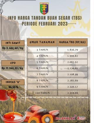 Harga Resmi TBS Lampung Kembali Bergairah, Naik Rp 67,88