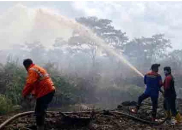 10 Ha Kebun Sawit Warga Terbakar, Api Belum Padam