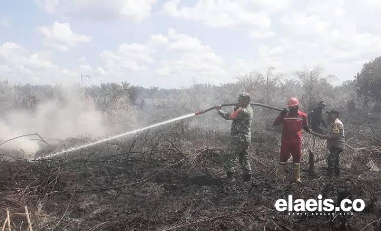 Satu Titik Lahan Sawit Terbakar, Penduduk dan Pengguna Jalan Panik