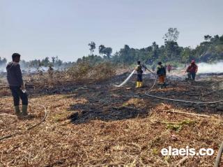 Sudah 131 Hektar Lahan di Riau Terbakar Tahun Ini, Terluas di Bengkalis