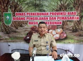 Terjun Bebas, Berikut Harga Jual CPO dan Kernel di Riau