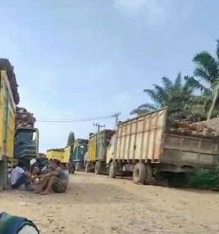 Banyak Truk TBS Sawit di Bengkulu Belum Uji KIR