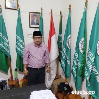 Harga Kelapa Sawit di Sumbar Diprediksi Jeblok Minggu Ini